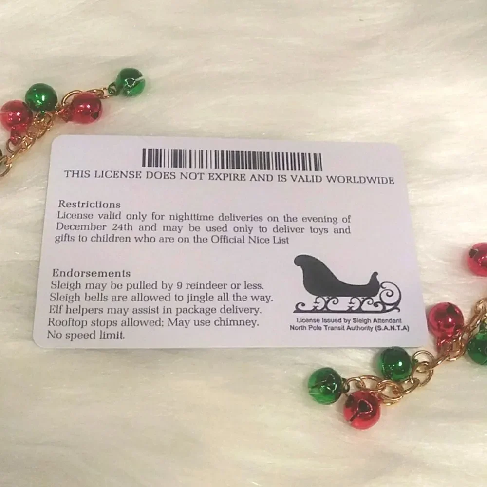👋 SANTA CLAUS SLEIGH DRIVERS LICENSE novelty kids | Mix And Match 3/$20